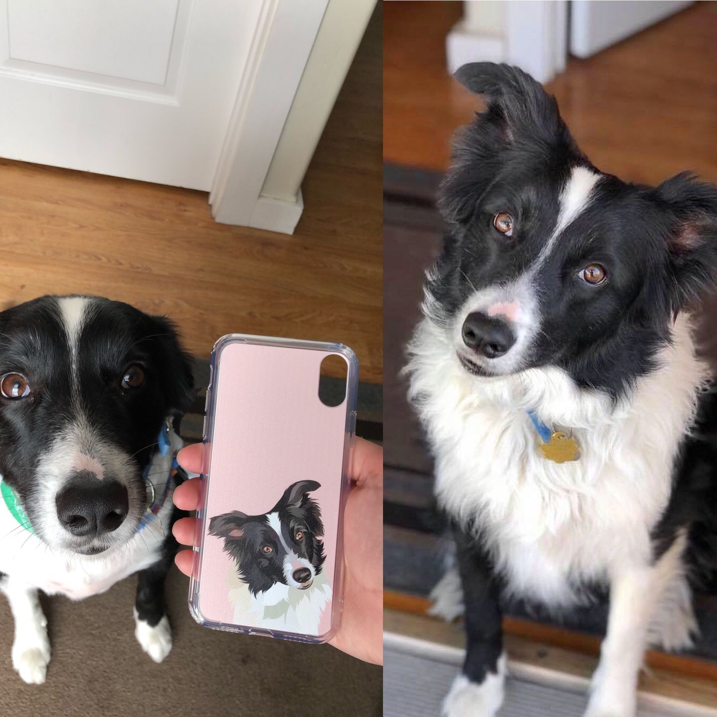 Custom Pet Phone Case (Original)